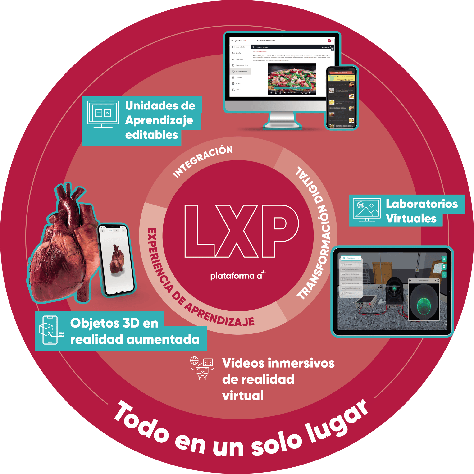 Organograma - latam@2x